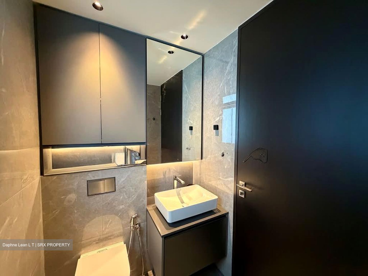 Irwell Hill Residences (D9), Apartment #560616671